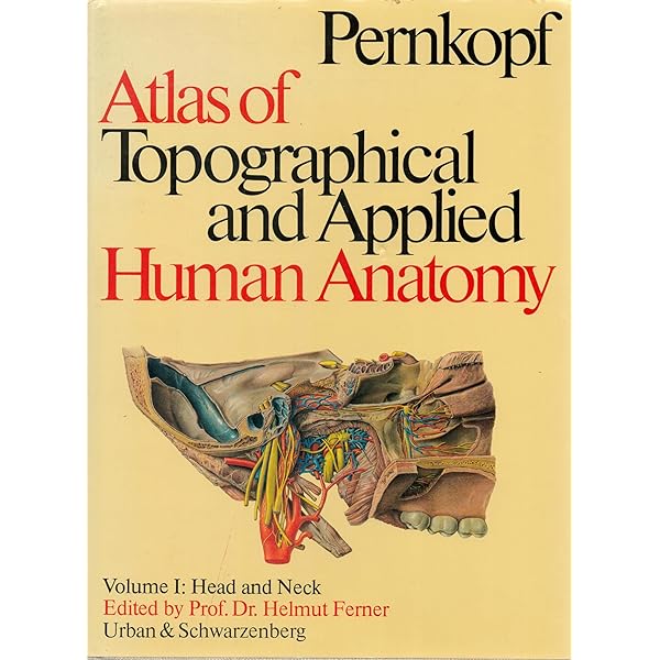 Amazon.com: Pernkopf Anatomy, Vol. 2: Atlas of Topographic