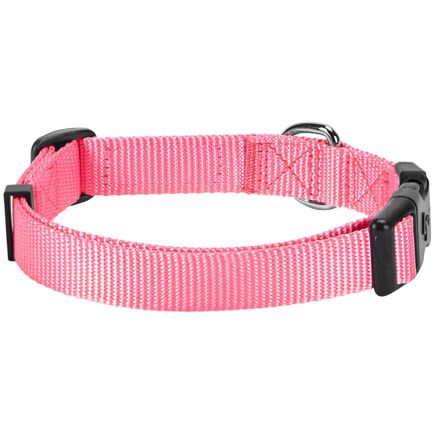 classic dog collars
