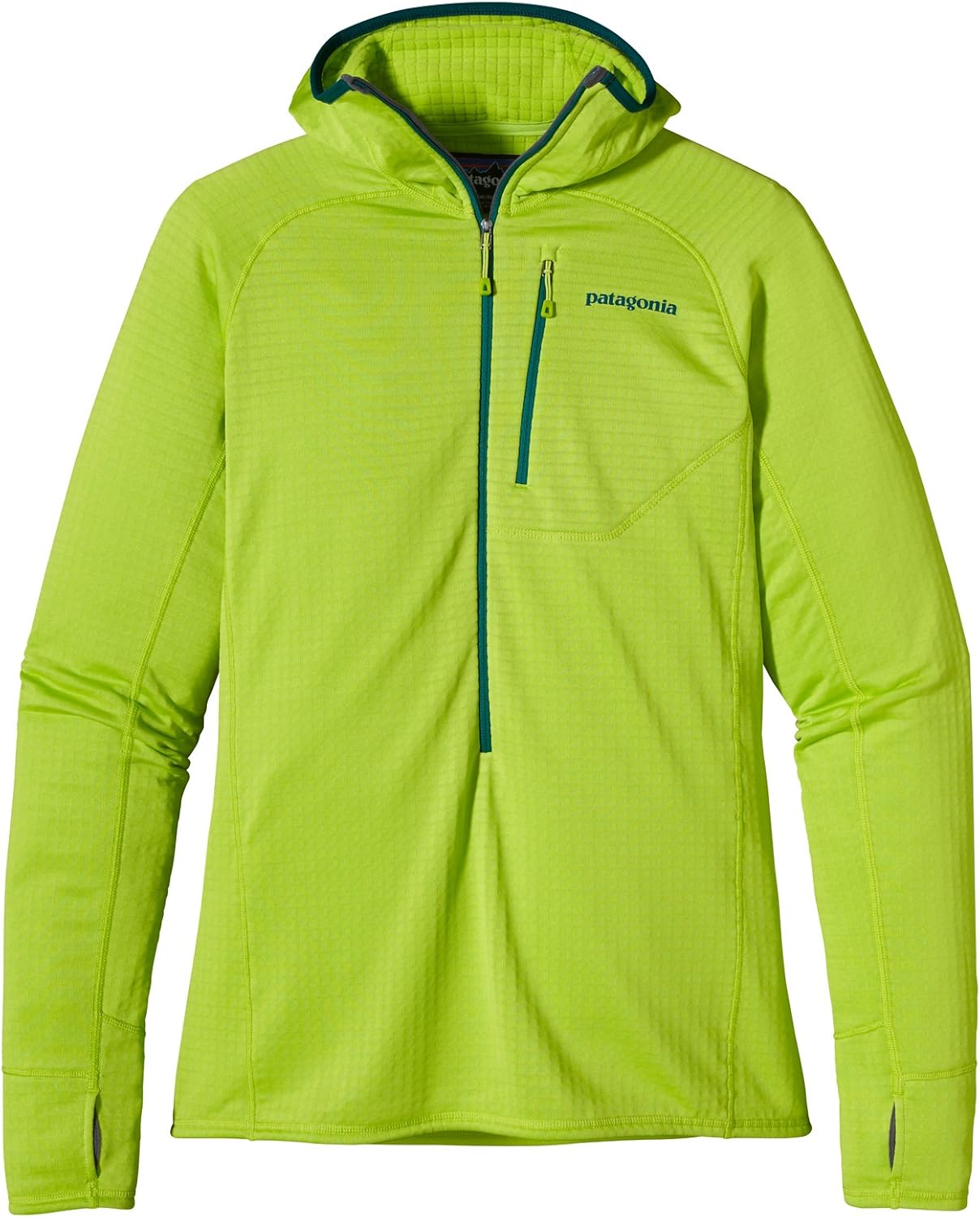patagonia hoodie green