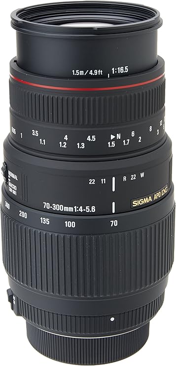 Sigma 70 300mm F 4 5 6 Dg Apo Macro Motorized Telephoto Zoom Lens For Nikon Slr Cameras Point And Shoot Digital Cameras Camera Photo Amazon Com