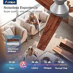 Amico Ceiling Fans with Lights, 52 inch Low Profile