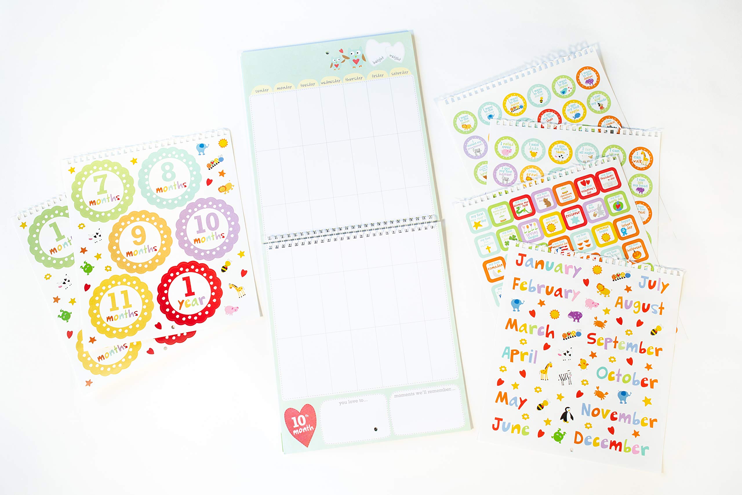 Baby's First Year: A Welcome Little One Keepsake, Memories Journal and Undated Monthly Calendar to Hang & Display (baby shower gifts for new parents) (Welcome Little One Baby Gift Collection)