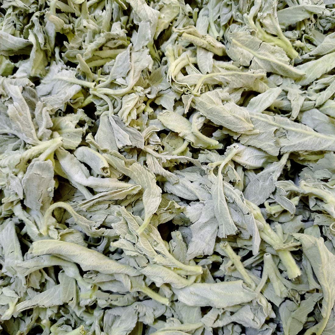 R&D CRAFTS 100 Grams of Dried Indian White Sage Leaves for Smudging