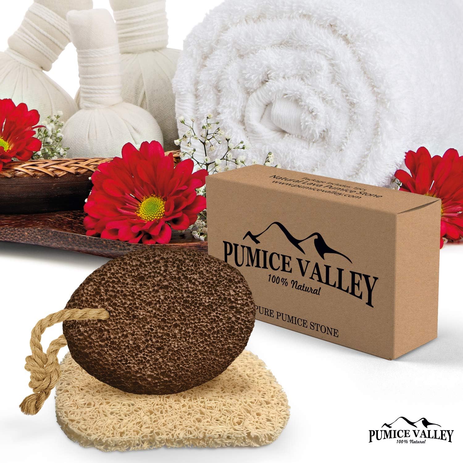 Pumice Stone for Feet - Natural Lava Foot Stone with New Eco-Friendly Holder - Callus Warts Corn Removal - Pedicure Exfoliator for Dry Dead Skin, Heels, Elbows, Hands - Healthy Foot Care Scrubber: Health & Personal Care