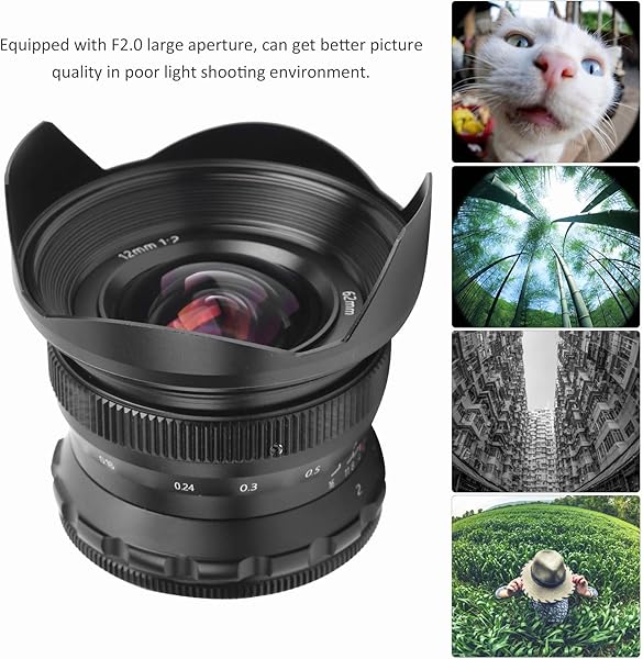 12mm F2 M43 Mount Wide Angle Large Aperture Fixed Focus Fisheye Scenery Lens Camera Accessories for GH5GM10
