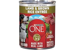 Purina ONE Tender Cuts Wet Dog Food, in Gravy Lamb & Brown Rice Entree - 368 g Can (12 Pack)