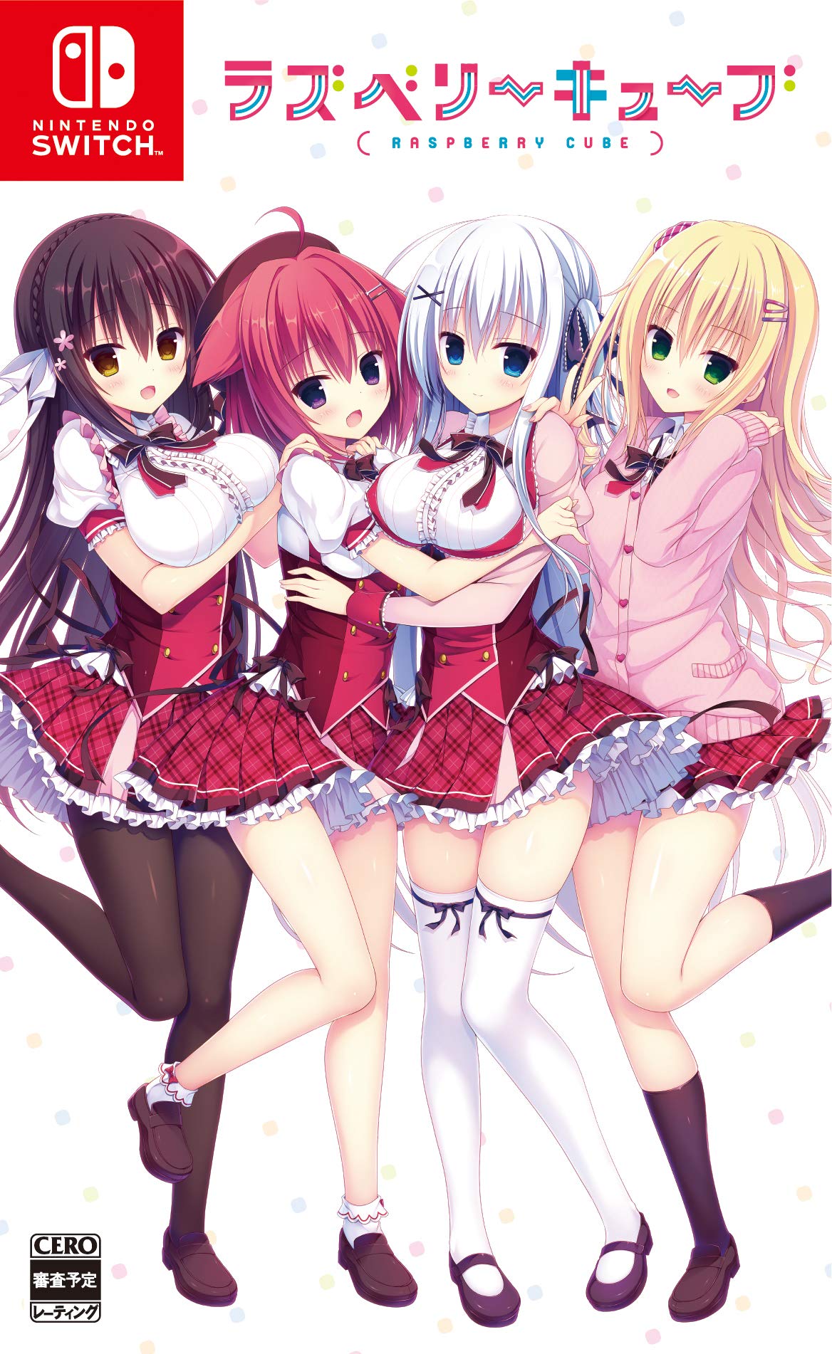 ラズベリーキューブ 通常版の商品画像