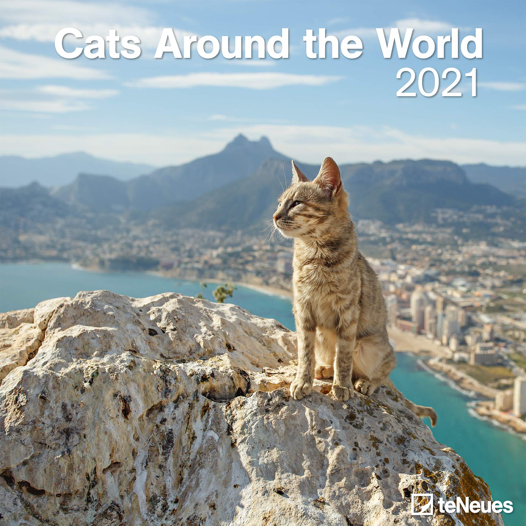 Cats Around the World 2021 Square Wall Calendar : teNeues Calendars \u0026  Stationery: Amazon.co.uk: Books