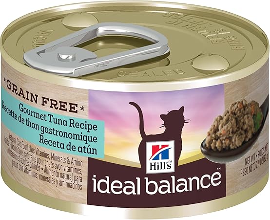 ideal balance grain free cat food