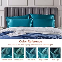 EHEYCIGA Satin King Pillow Cases Set of 2, Soft