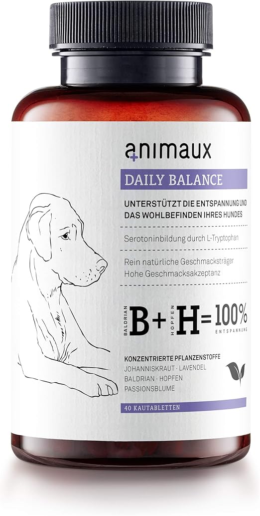 st john's wort poisonous to dogs