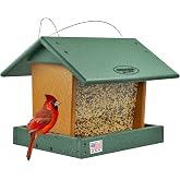 DutchCrafters Poly Hanging Hopper Bird Feeder, Large Hanging Bird Feeder for Outside, Outdoors - Amish American Made (Turf Green &amp; Cedar)