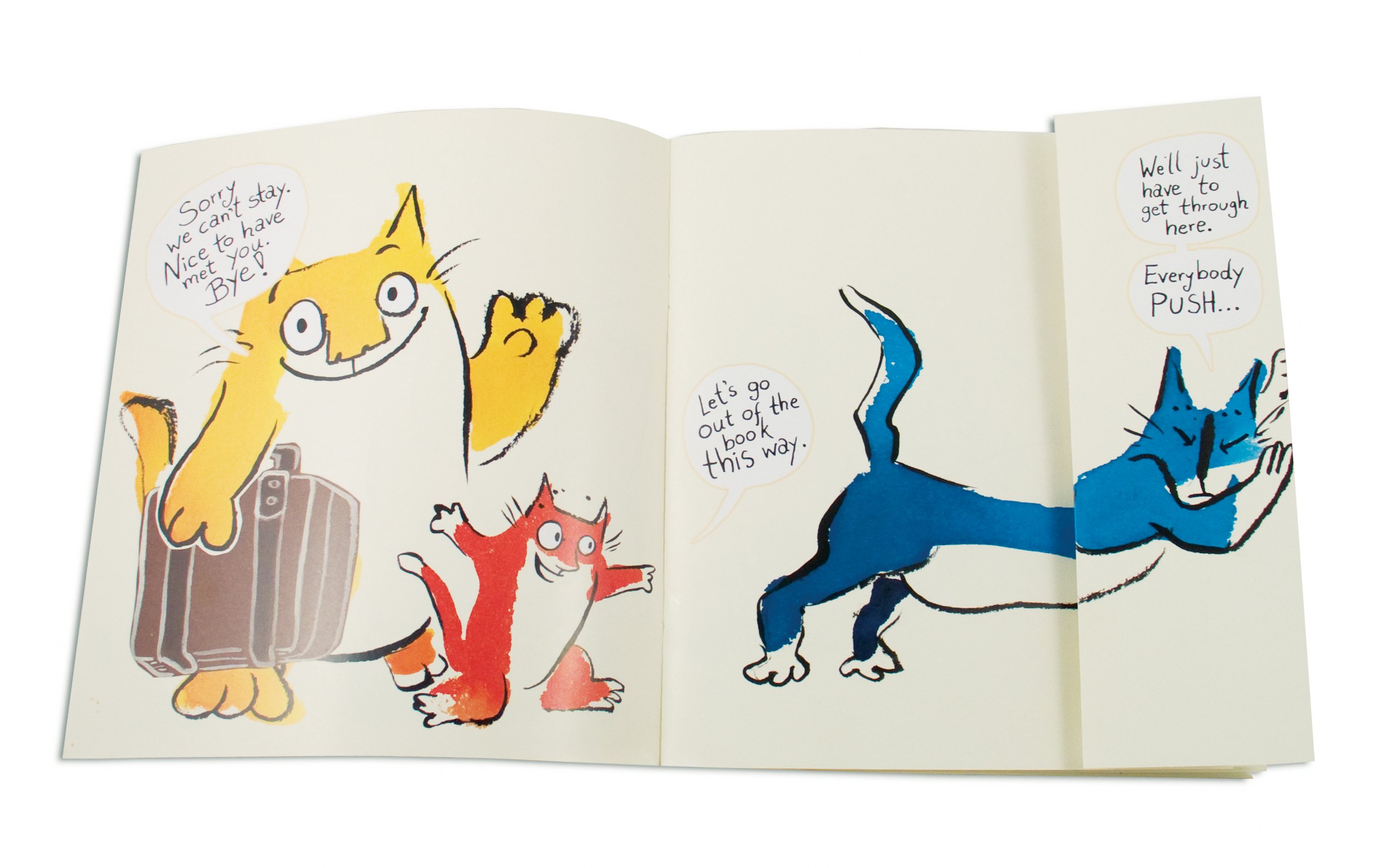 There Are No Cats In This Book Schwarz Viviane Schwarz Viviane 9780763649548 Amazon Com Books