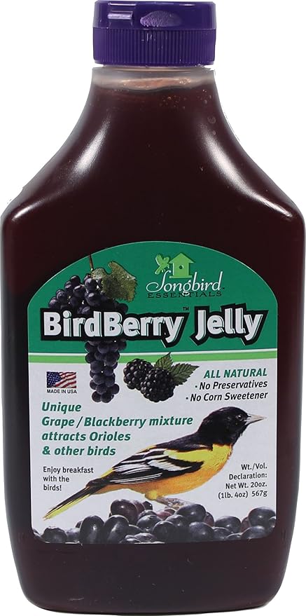 Amazon Com Songbird Essentials Bird Berry Jelly 20 Oz Pet Supplies