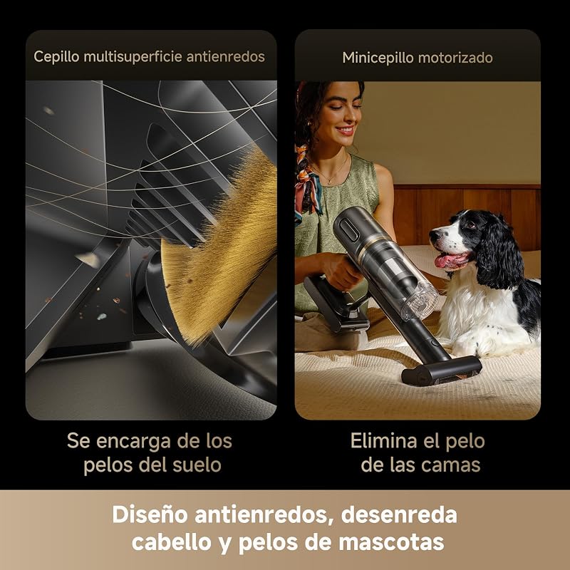 V20, Aspirador sin Cable, a 0 mm de Los Bordes, 25 000 PA/210 AW