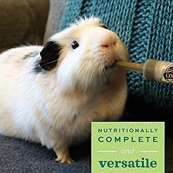 Oxbow Critical Care Herbivore, Emergency Guinea Pig
