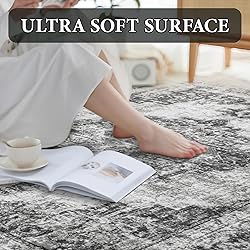 Area Rug 3x5 Vintage Rug: Washable Indoor Medallion