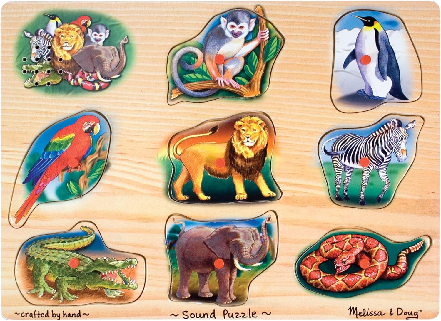 robot to play with dog