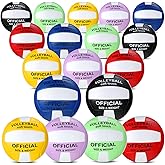 Libima 24 Pcs Volleyball Official Size 5 Bulk Soft Recreational Training Beach Play Volleyball with 4 Pump for Gym Training Beach Pool Teen Adult Outdoor Indoor Competitive Supplies Back to School