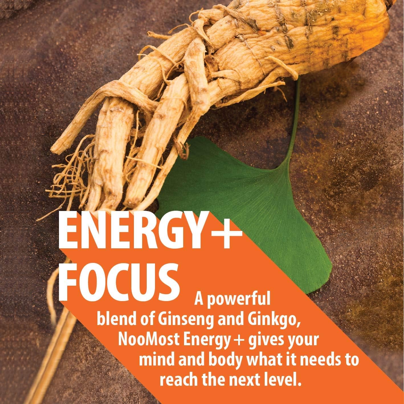 Authentic Korean Red Panax Ginseng + Ginkgo Biloba, 120 Vegan Capsules, Ginseng Root Extract Powder 1000mg (10% Ginsenosides) + Gingko Biloba 60mg, Energy and Focus Pills for Men and Women by NooMost: Health & Personal Care