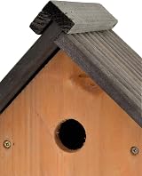 Supa Multi-Purpose Nesting Box Open Front Or Traditional Nest Box view 4