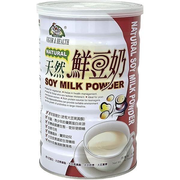 Amazon.com : SYMKEN Sugar-free Soy Milk Powder 17.6 Oz (500g