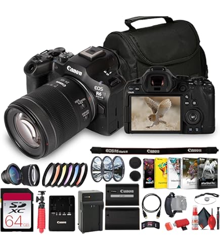 Amazon.com : Canon EOS R6 Mirrorless Digital Camera with 24-105mm