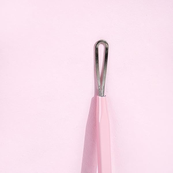 BRUSHWORKS BLACK HEAD REMOVAL TOOL