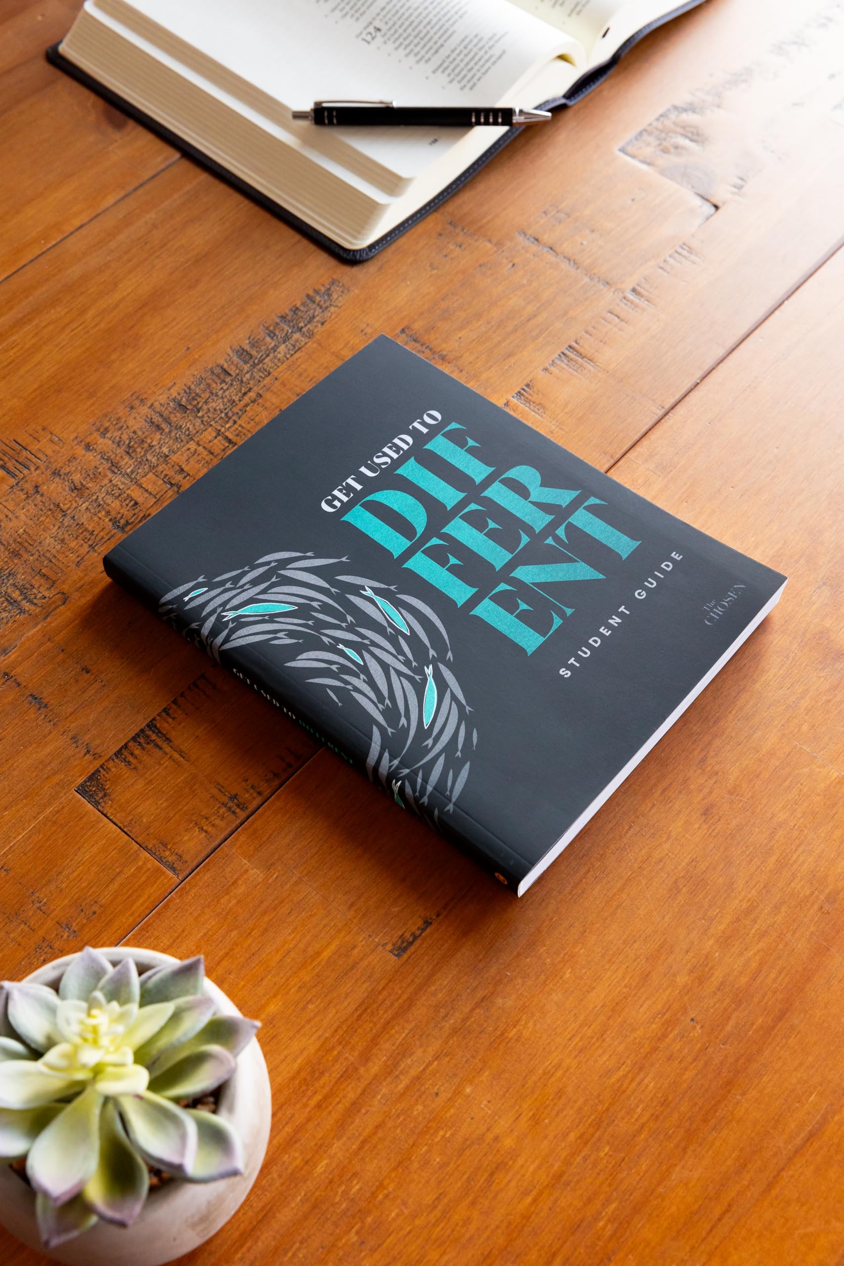 Get Used to Different: A Student Guide to The Chosen (The Chosen Bible Study Series)