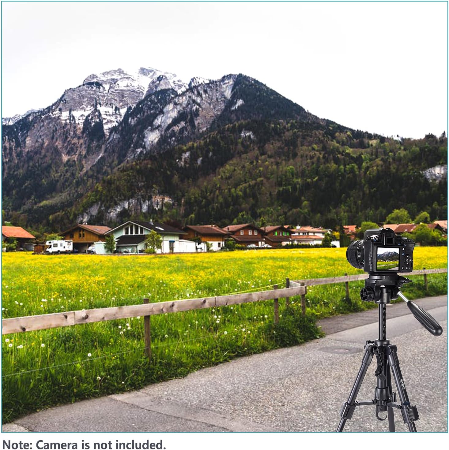 Neewer Mini Travel Tabletop Camera Tripod 24 inches/62 centimeters, Portable Aluminum with 3-Way Swivel Pan Head for DSLR Camera, Smartphones, DV Video up to 6.6 pounds/3 Kilograms (T210) : Camera & Photo