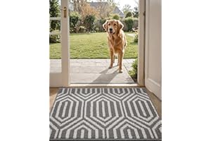 DEXI Front Door Mats for Entryway, Non Slip Washable Entry Doormat, Absorbent Resist Dirt Inside Floor Mat, Low-Profile Entrance Mat, 20"X31", Grey
