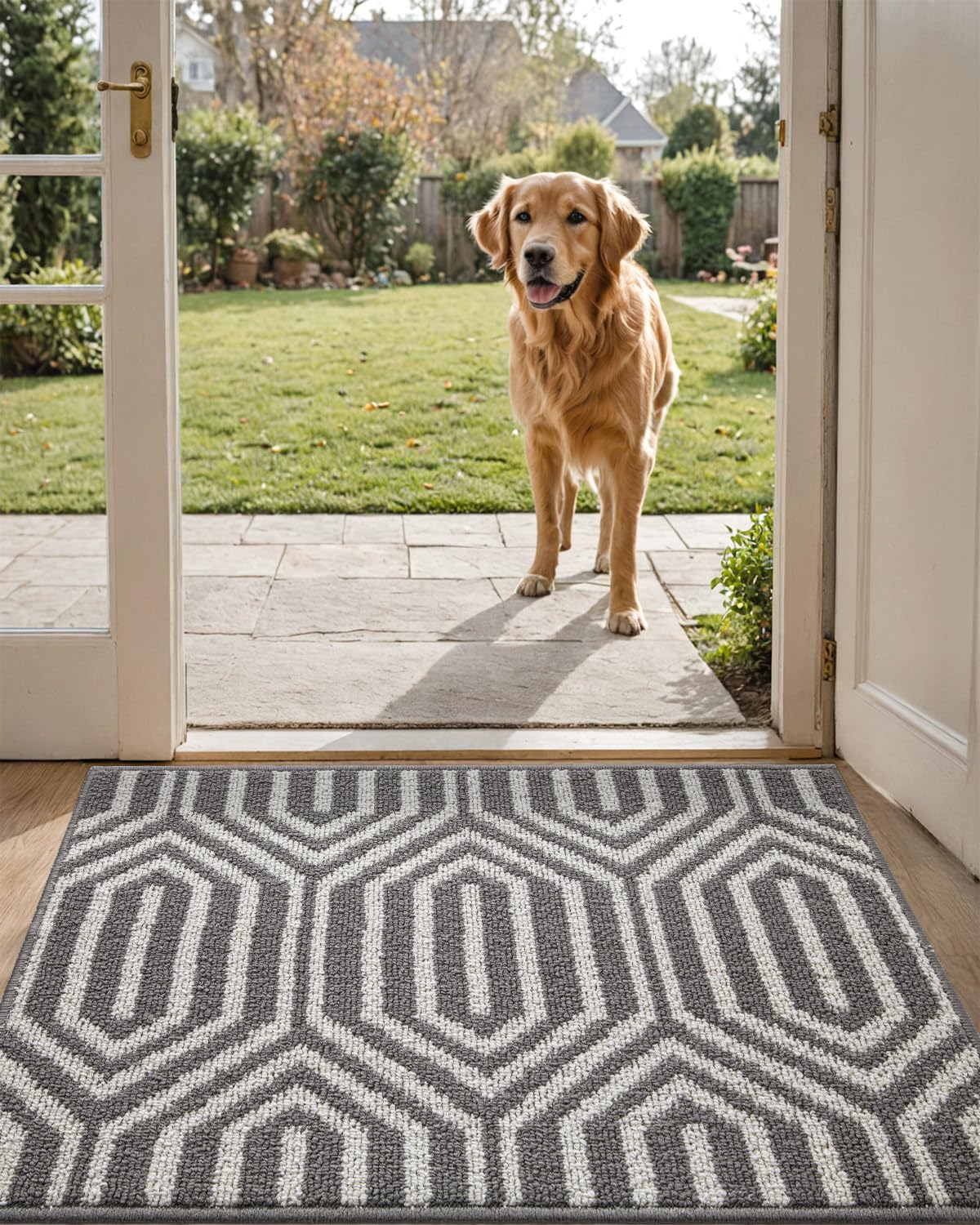 DEXI Indoor Doormat, Non Slip Absorbent Resist Dirt Entrance Rug, 20”x32” Machine Washable Low-Profile Inside Floor Door Mat