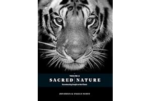 Sacred Nature 2: Reconnecting People to Our Planet
