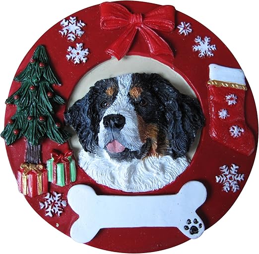 things you need to take care of a bunny