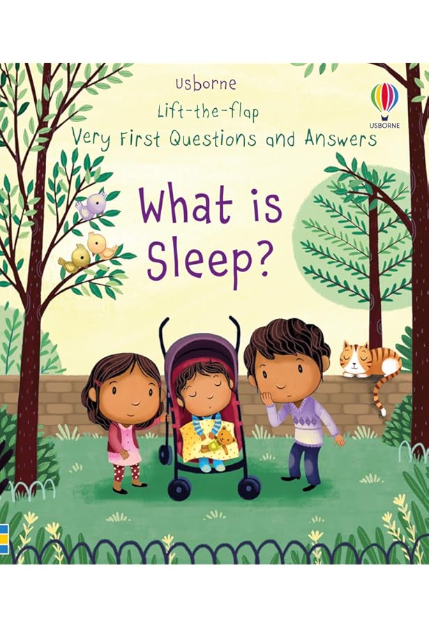 Usborne Lift-the-flap Series My Very First Questions and Answers