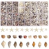 HAPYSHOOP 2000 PCS Tiny Sea Shells Mini Shells for Crafting & 20 Small Starfish for Fish Tank and Vase Filler,Home Decorations Candle Decor Beach Theme Party DIY Craft Supplies