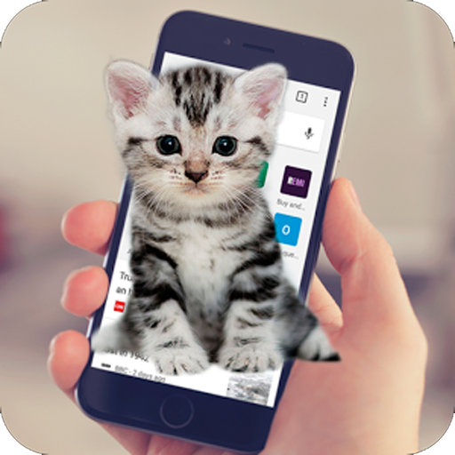 Cat On Screen