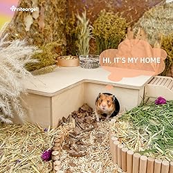 Niteangel Multi-Chamber Hamster House