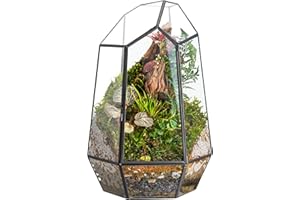 FISCRAT Metal Geometric Glass Planter | 7.9 * 6.9 * 9.8inch Rust-Proof Indoor/Outdoor Planter for Succulents, Air Plants | Space-Saving Vertical Design,a for Apartment Living and Plant Lovers