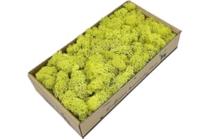 PEXTIAN Preserved Reindeer Moss, 8oz Artificial Moss for Indoor Plants, Green Faux Moss Wall Decor for Potted Plant, Art, Terrariums, Craft, Wedding, Home, Garden, DIY Project, Floral Arrangements Decoration