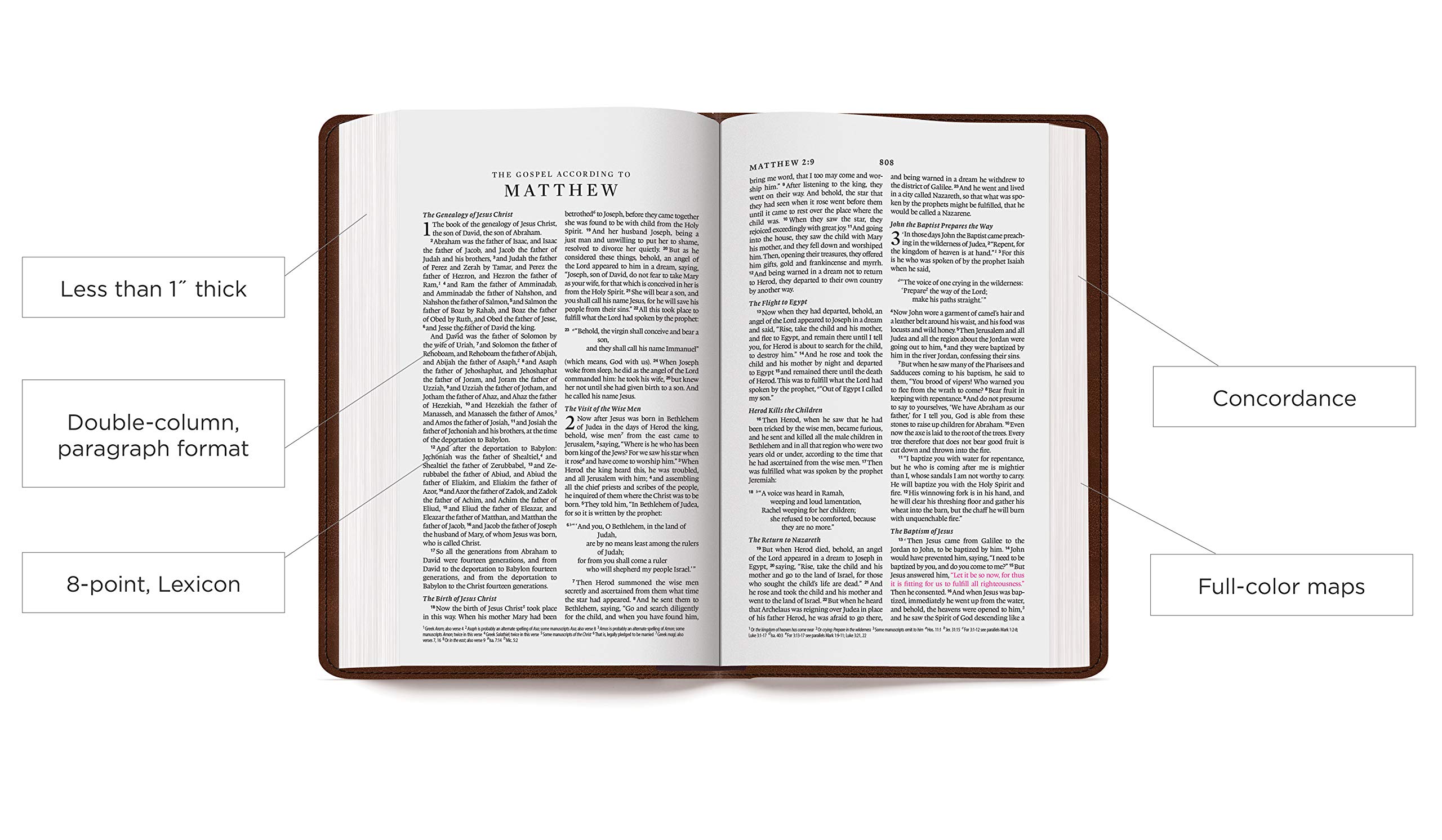 ESV Thinline Bible (TruTone, Royal Lion)