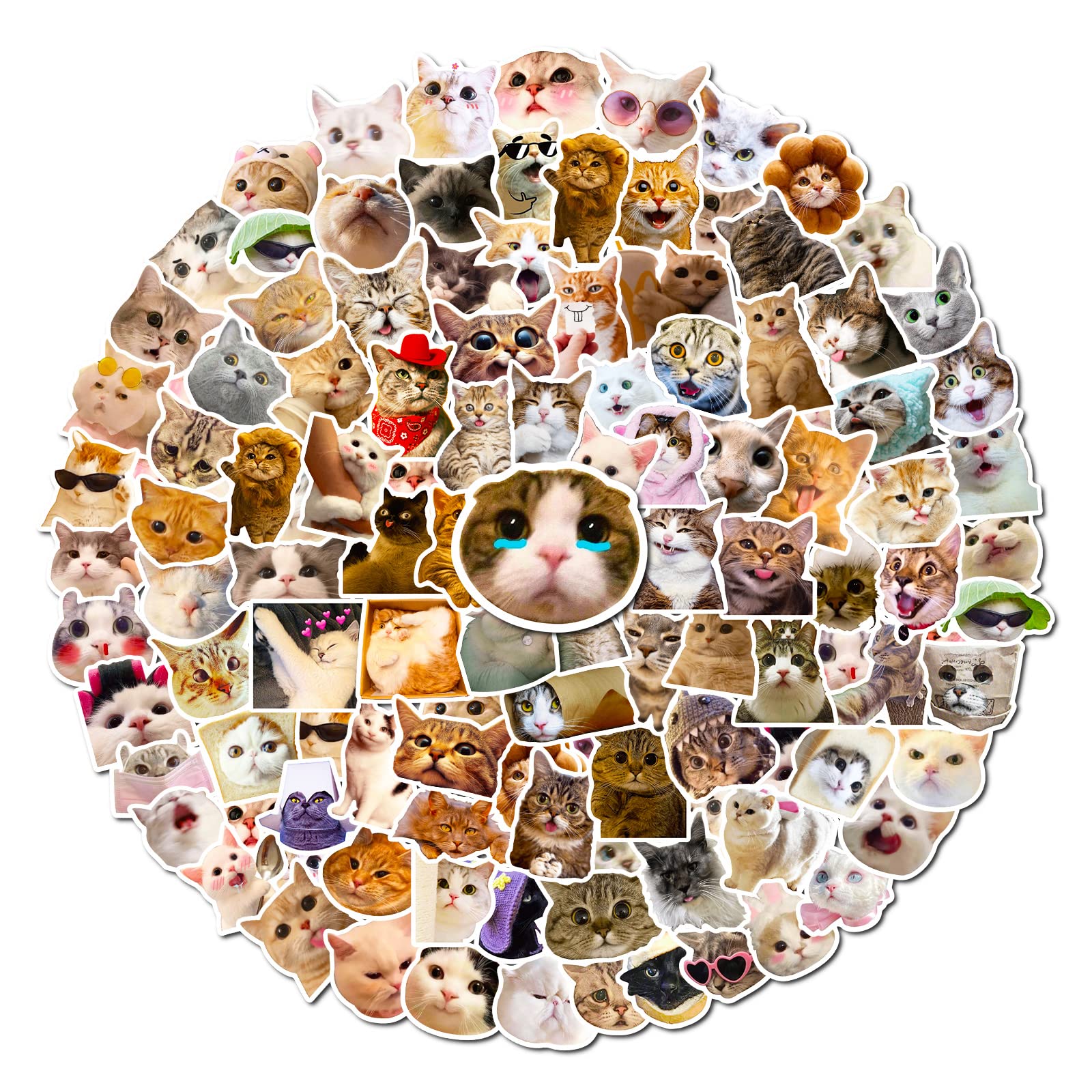 Photo 1 of DERFILIN 100PCS Cute Cat Stickers Pack, Kids Birthday Gift Stickers Party Favourites, Funny Animal Waterproof Vinyl Stickers for Water Bottles, Scooters, Stationery and Luggage