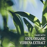 L'OCCITANE Shea Verbena Hand & Body Liquid Soap 500ml - Vegan view 5