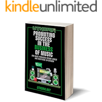 Promoting Success In The Business Of Music: For Music Producers, Record Labels And Everything In Between book cover