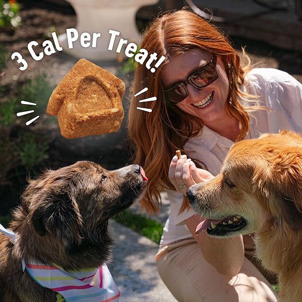 WELLNESS CRUNCHY PUPPY BITES DOG TRAINING TREATS, NATURAL, GRAIN FREE, CHICKEN AND CARROT RECIPE, 6 OZ BAG
