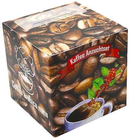 Geschenk-Anzuchtset Kaffee - Echter Cafe Arabica Nana - Kaffee Samen Anzuchtset - Geschenk Für Kaffeeliebhaber - Witziges Geb