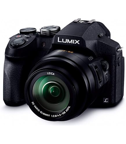 Amazon.com : Panasonic LUMIX FZ300 Long Zoom Digital Camera