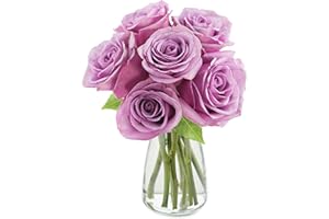 KaBloom PRIME NEXT DAY DELIVERY - Fall Collection - Bouquet of 6 Fresh Cut Purple Roses with Vase .Gift for Birthday, Get Well, Thank You, Valentine, Mother’s Day Fresh Flowers