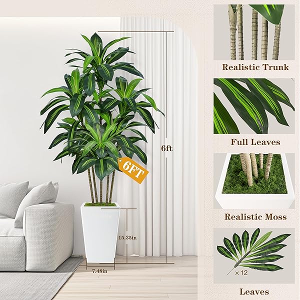 6FT ARTIFICIAL DRACAENA TREE, FAKE TREE INDOOR WITH WHITE TALL PLANTER,TALL ARTIFICIAL PLANTS INDOOR,ARTIFICIAL SILK TREE FOR HOME OFFICE DECOR (WHITE)