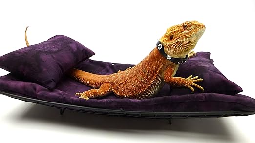 bearded dragon fabric